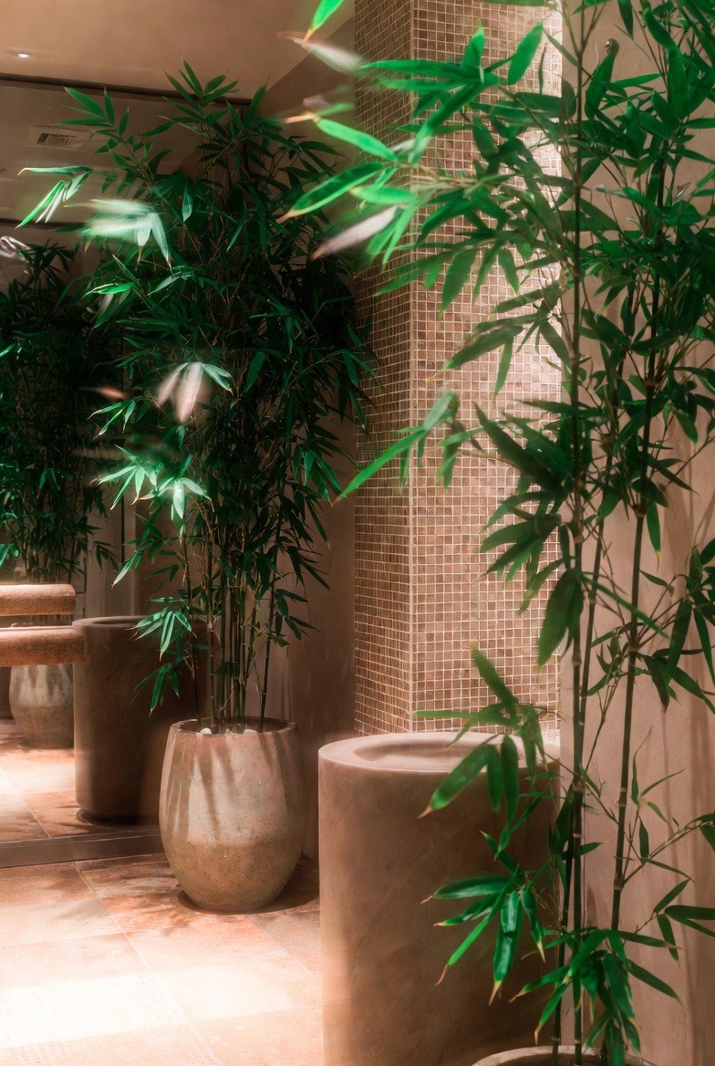 Bamboo for a Spa-Inspired Feel