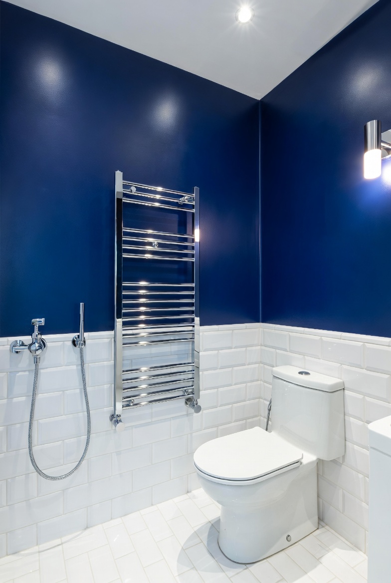 Cobalt Blue Vibrant and Timeless