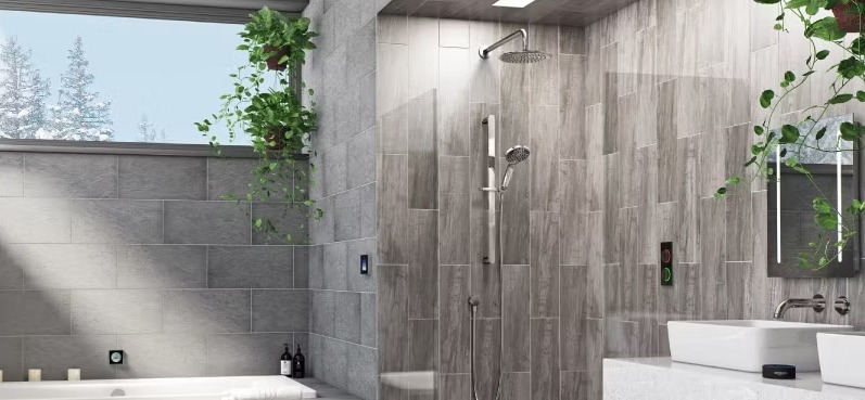 plants for bathroom decor